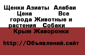 Щенки Азиаты (Алабаи) › Цена ­ 20 000 - Все города Животные и растения » Собаки   . Крым,Жаворонки